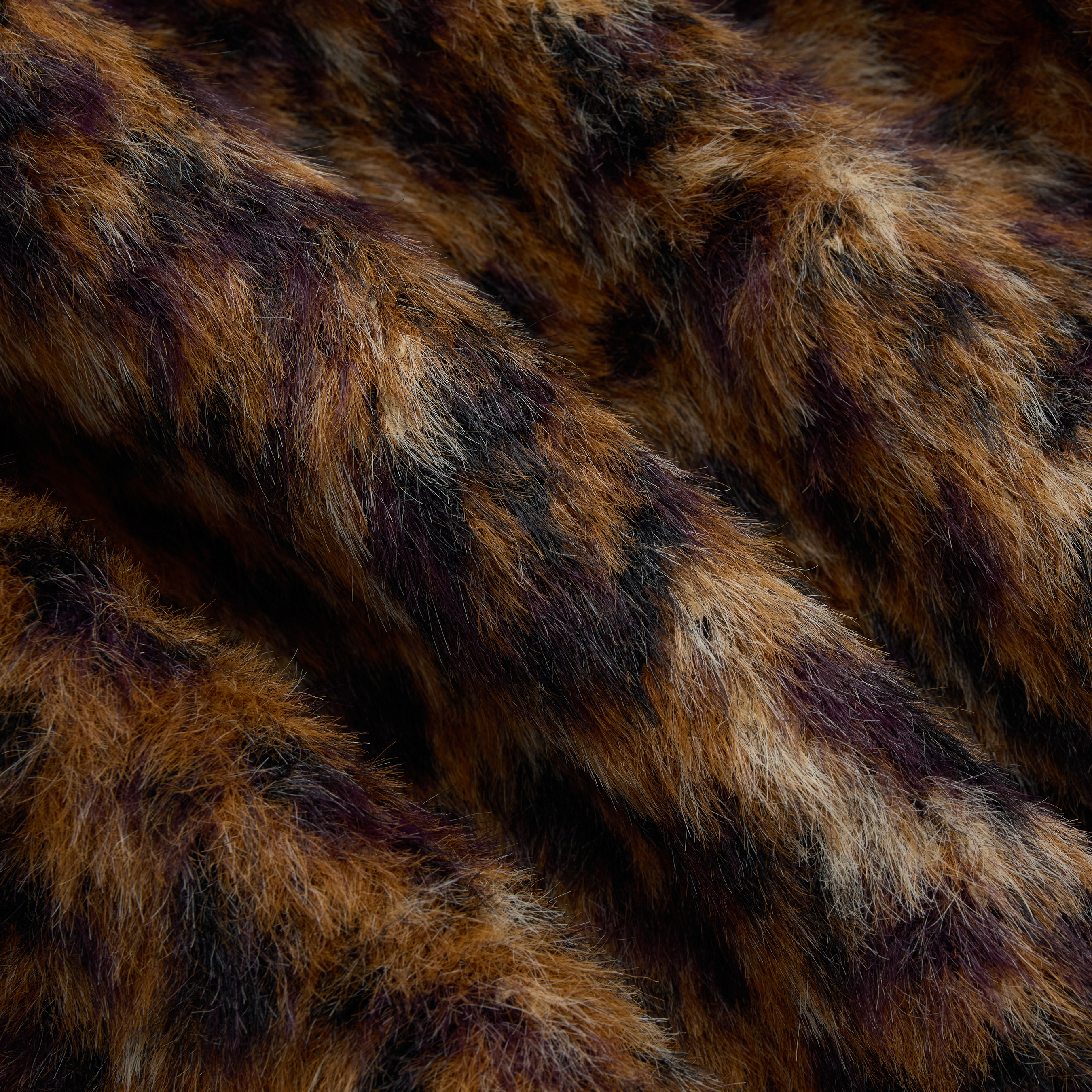 The Cheetah